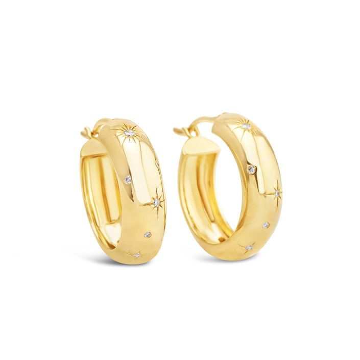 Cosmos 14 karat gold vermeil earrings